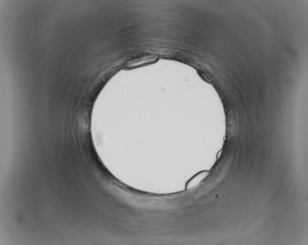 X0000112800040200910021129