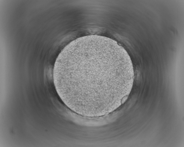 X0000112800042200910021129