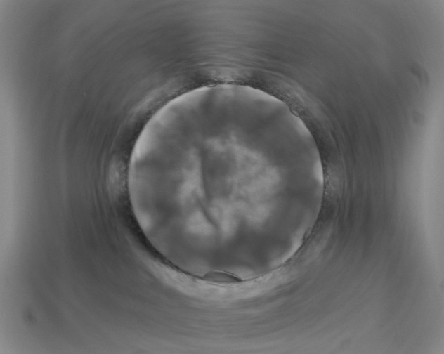X0000112800043200910021129