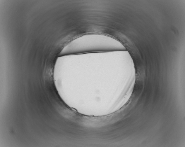 X0000112800045200910021129