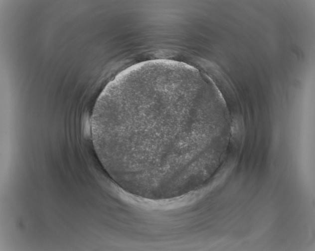 X0000112800046200910021129