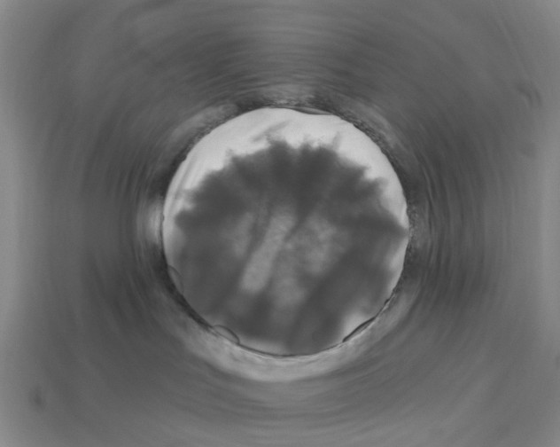 X0000112800047200910021129