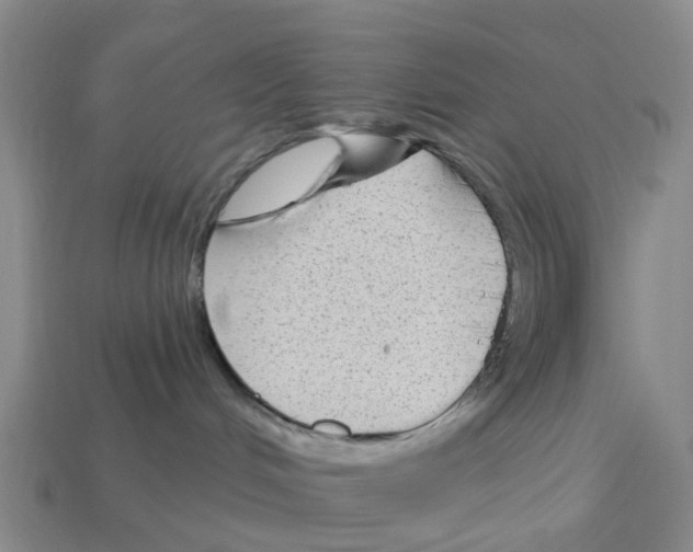 X0000112800048200910021129