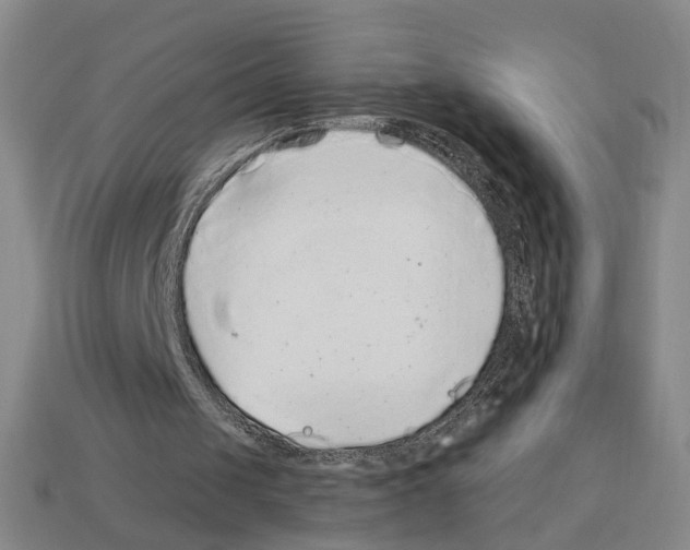 X0000112800049200910021128