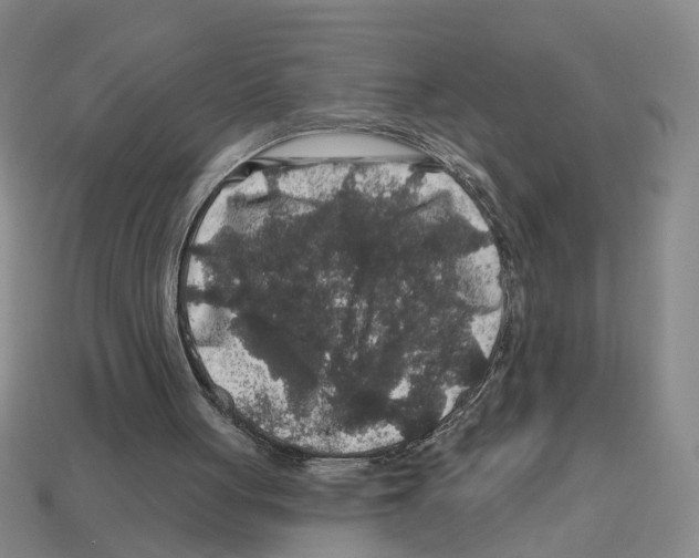 X0000112800051200910021128