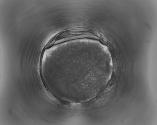 X0000112800052200910021128