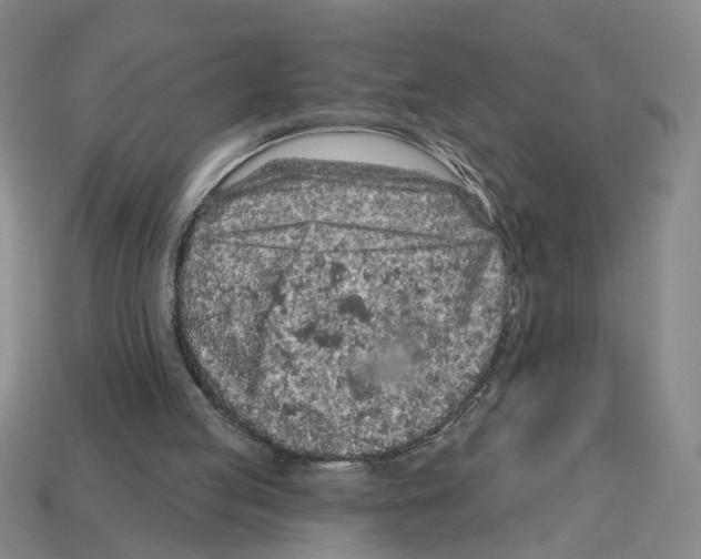 X0000112800053200910021128