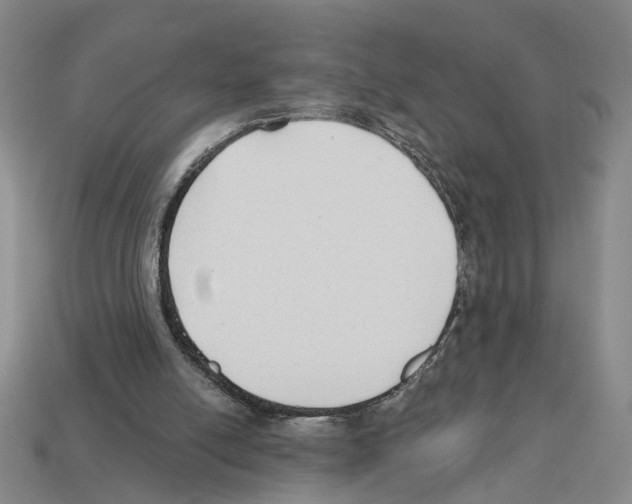 X0000112800054200910021128