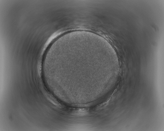 X0000112800056200910021128