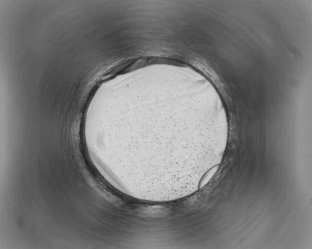 X0000112800058200910021128