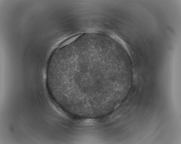 X0000112800059200910021128