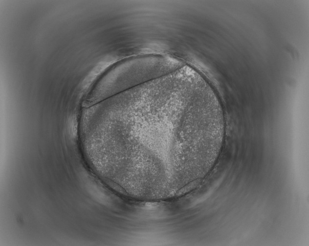 X0000112800060200910021128
