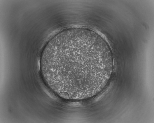 X0000112800061200910021128