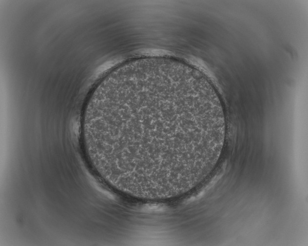 X0000112800063200910021128