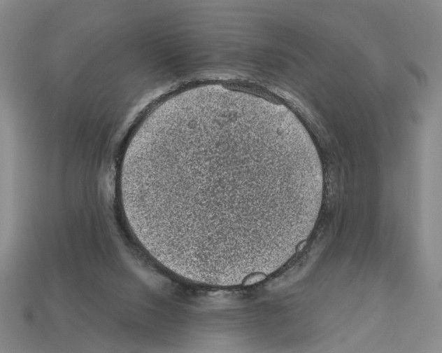 X0000112800064200910021128