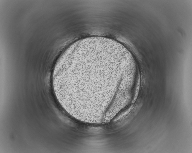 X0000112800066200910021128