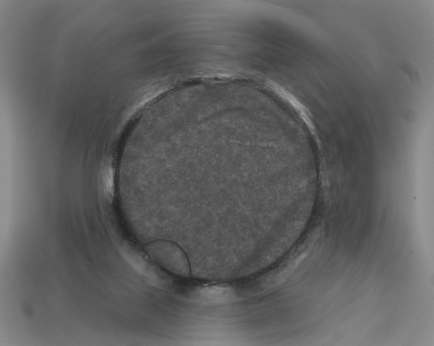 X0000112800067200910021128