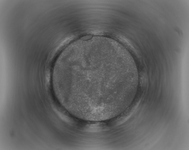 X0000112800072200910021128