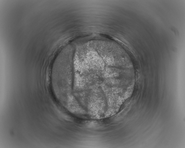 X0000112800074200910021128