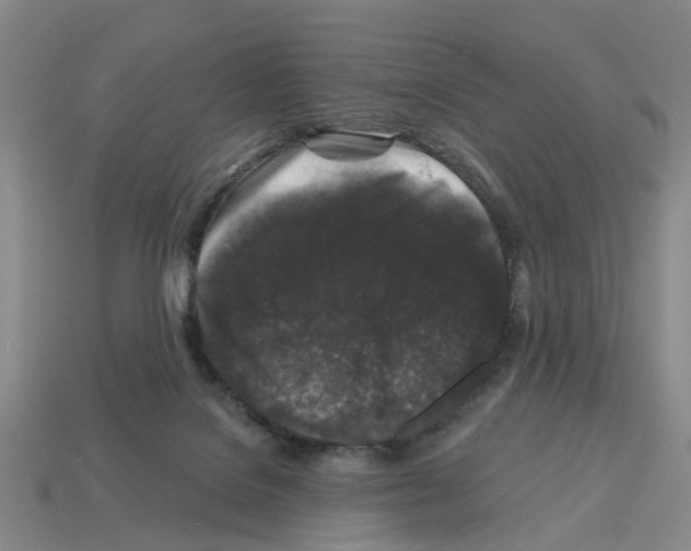 X0000112800076200910021128