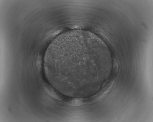 X0000112800080200910021128