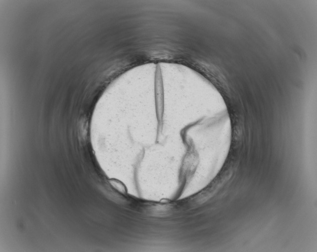 X0000112800081200910021128