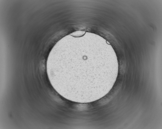 X0000112800085200910021128