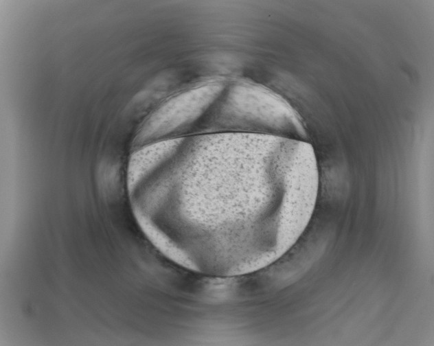 X0000112800088200910021129