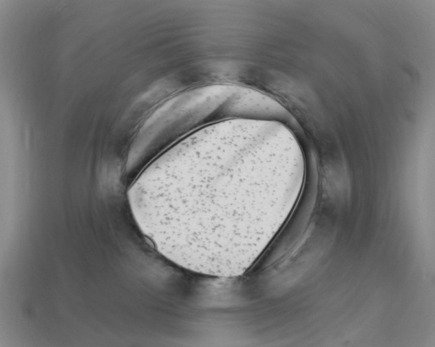 X0000112800092200910021129