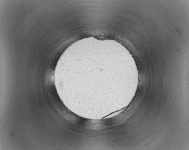 X0000112800095200910021129