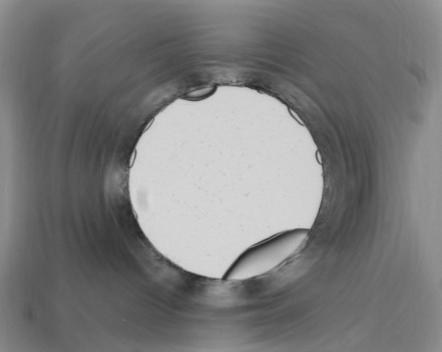 X0000112800096200910021129