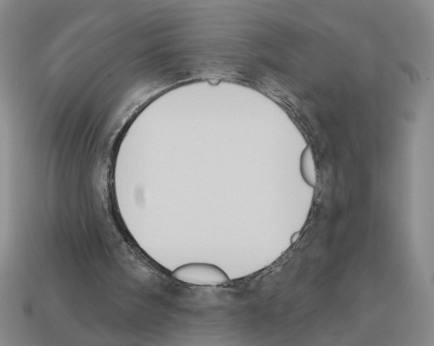 X0000112800098200910021128