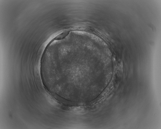 X0000112800100200910021128