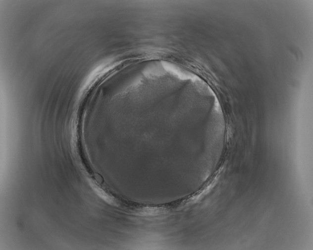 X0000112800101200910021128