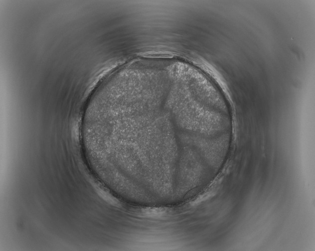 X0000112800105200910021128