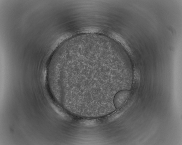 X0000112800110200910021128