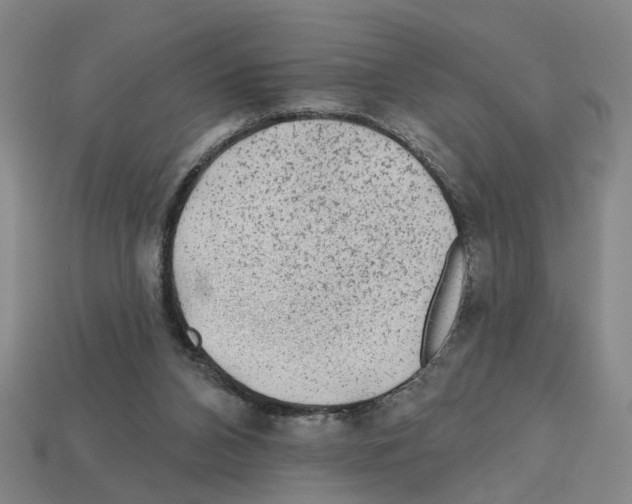 X0000112800112200910021128