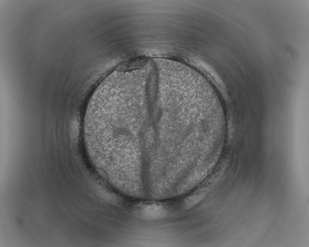X0000112800113200910021128