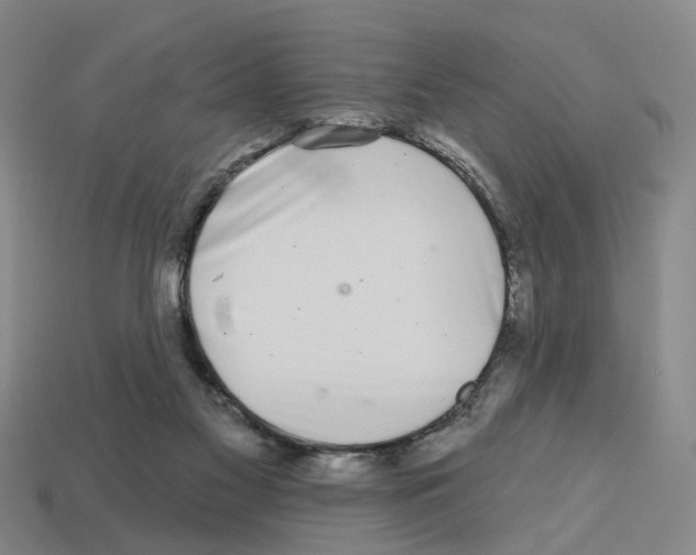 X0000112800117200910021128