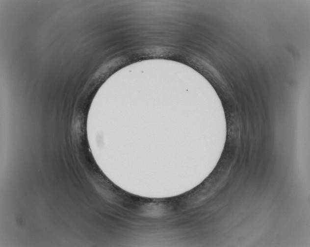 X0000112800119200910021128