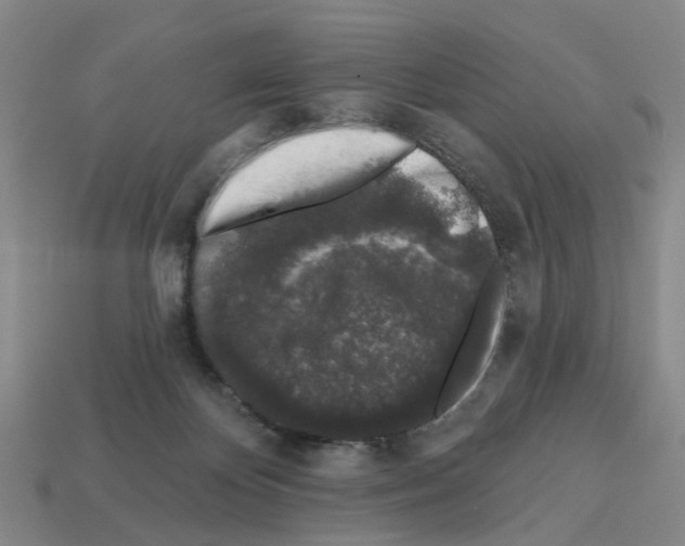 X0000112800124200910021128