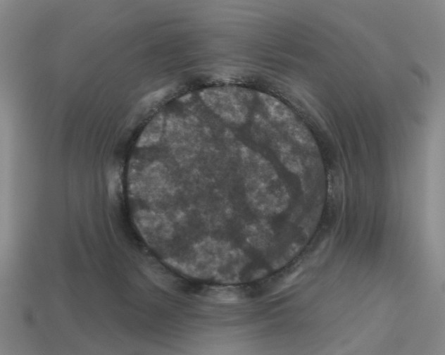 X0000112800127200910021128