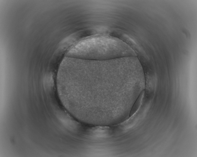 X0000112800128200910021128