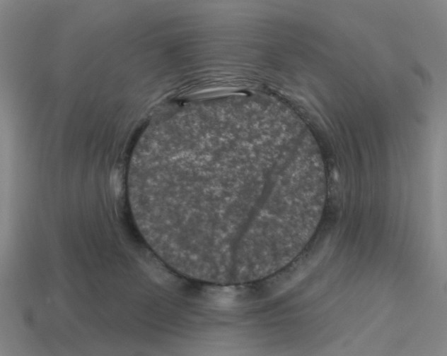 X0000112800131200910021127