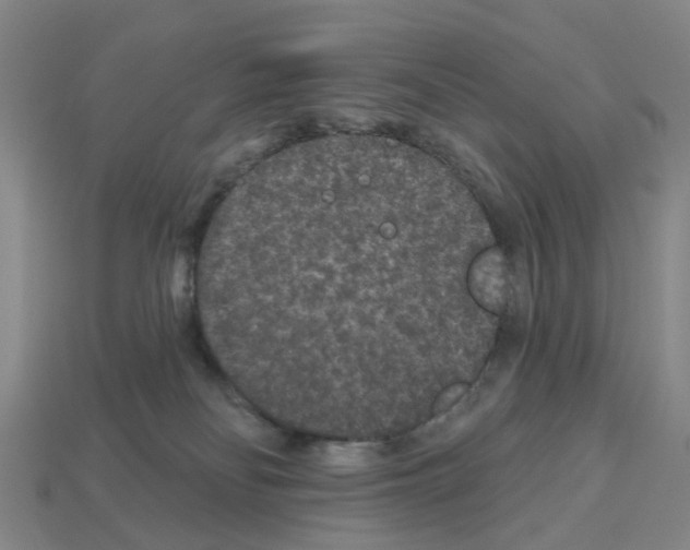 X0000112800134200910021127