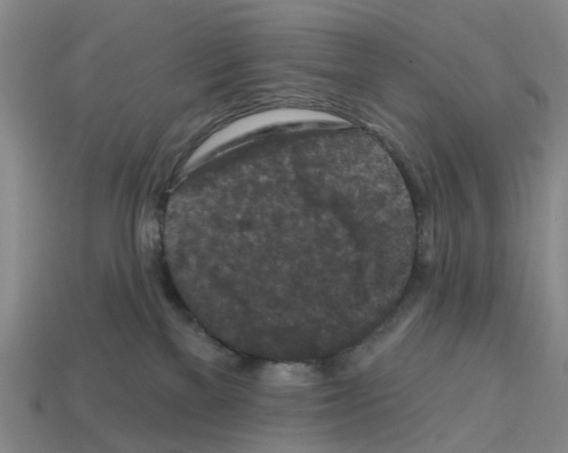X0000112800137200910021127