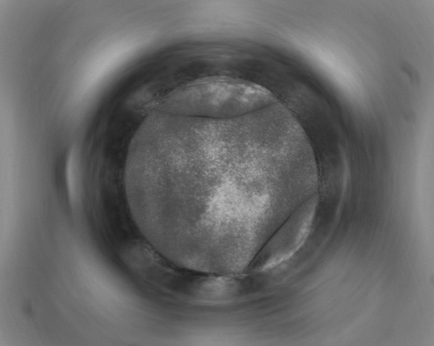 X0000112800140200910021127