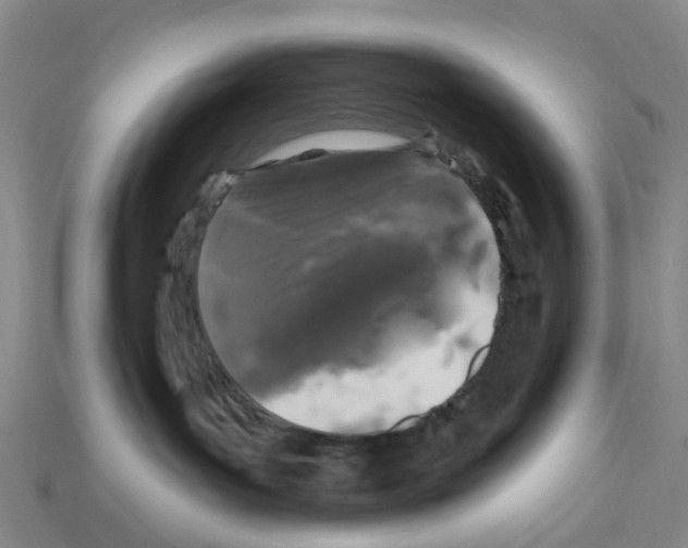 X0000112800143200910021127