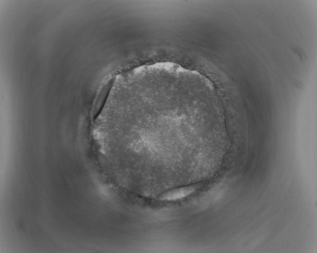 X0000112800144200910021127