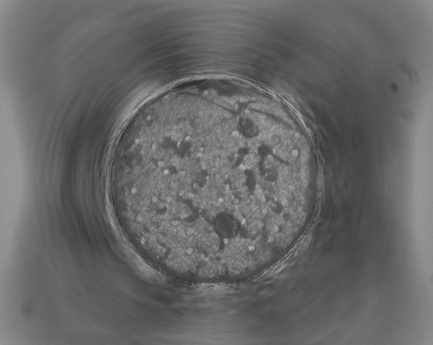 X0000112800145200910021127